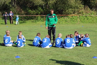 九游体育下载-德甲球队战术模拟平台辅助比赛策略调整的应用研究，德甲游戏